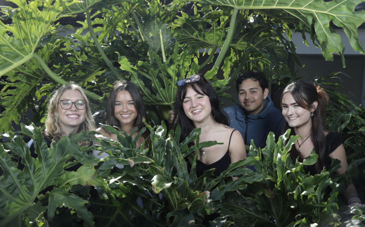 The Channels Fall 2024 editors squeeze between a bush on Nov. 5 at City College in Santa Barbara, Calif. The Editorial Board consists of 5 editors.